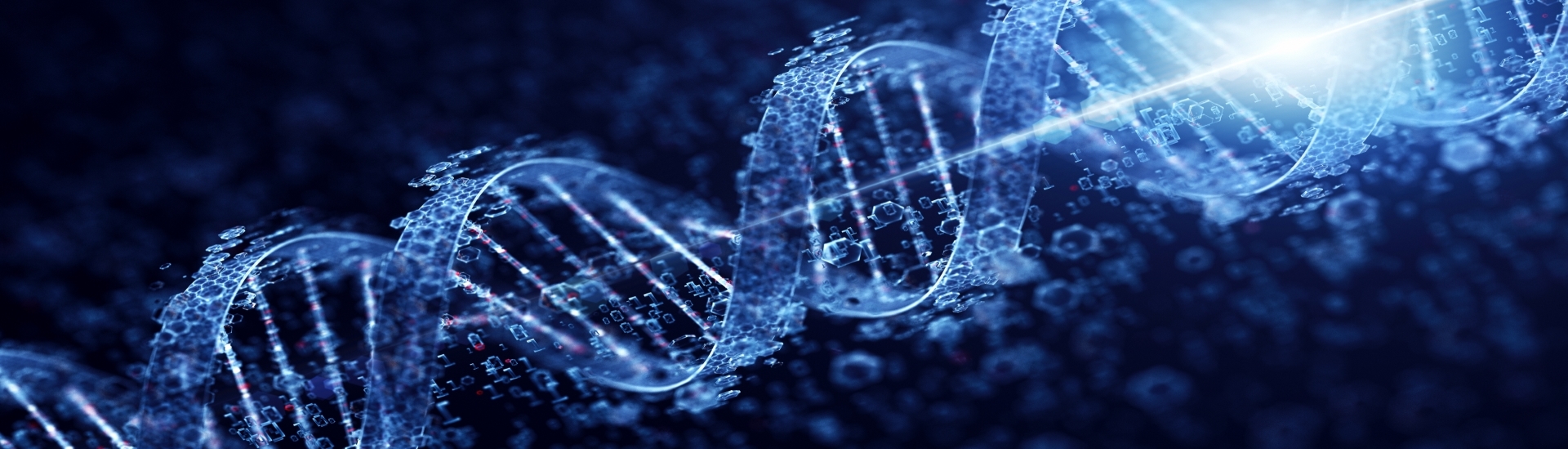 Molecular Genetics Banner Internal2