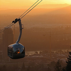博彩网站 tram at sunrise