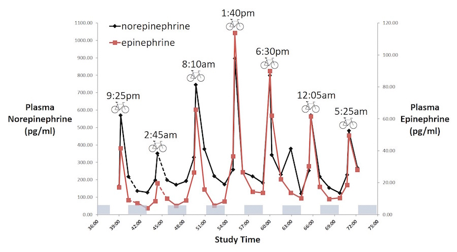 body's stress response to a standardized bicycle exercise bout at different times of day.