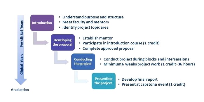 Scholarly Project Overview