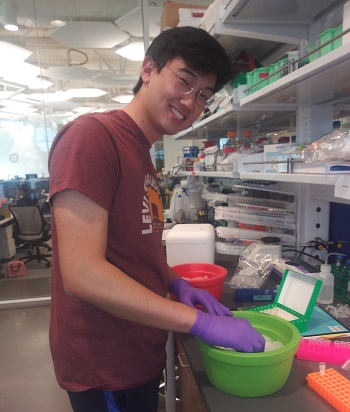Members of the Kim Lab
