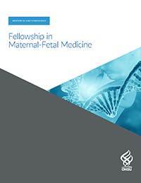 An image of the cover of 博彩网站's Maternal-Fetal Medicine Fellowship brochure.