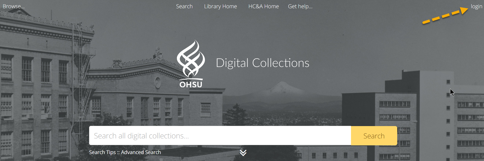 Logging in to Digital Collections homepage