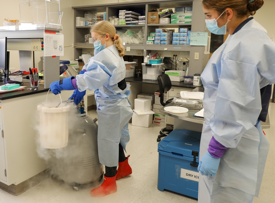 Maternal Fetal Medicine Research Unit