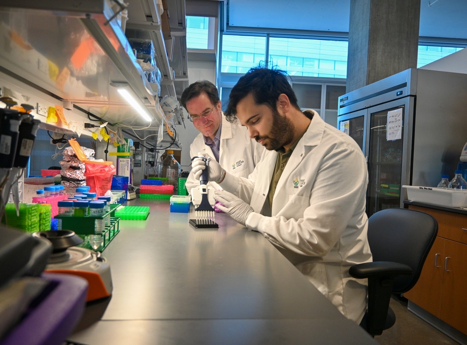 New blood test identifies hard-to-detect pancreatic cancer with 85% accuracy