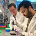New blood test identifies hard-to-detect pancreatic cancer with 85% accuracy