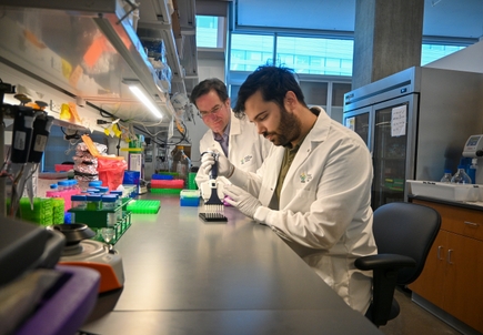 New blood test identifies hard-to-detect pancreatic cancer with 85% accuracy