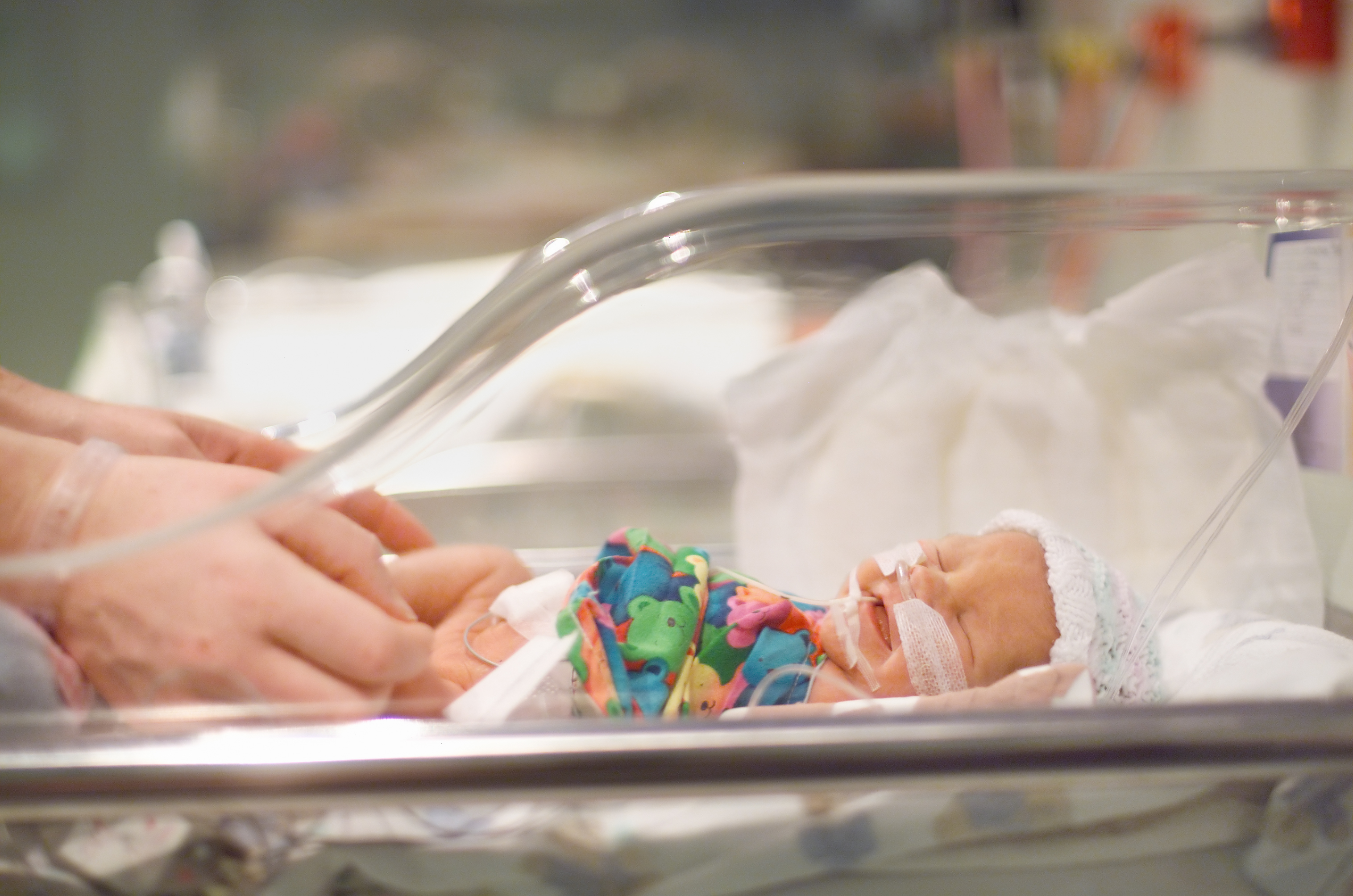 premature baby in clear plastic cradle