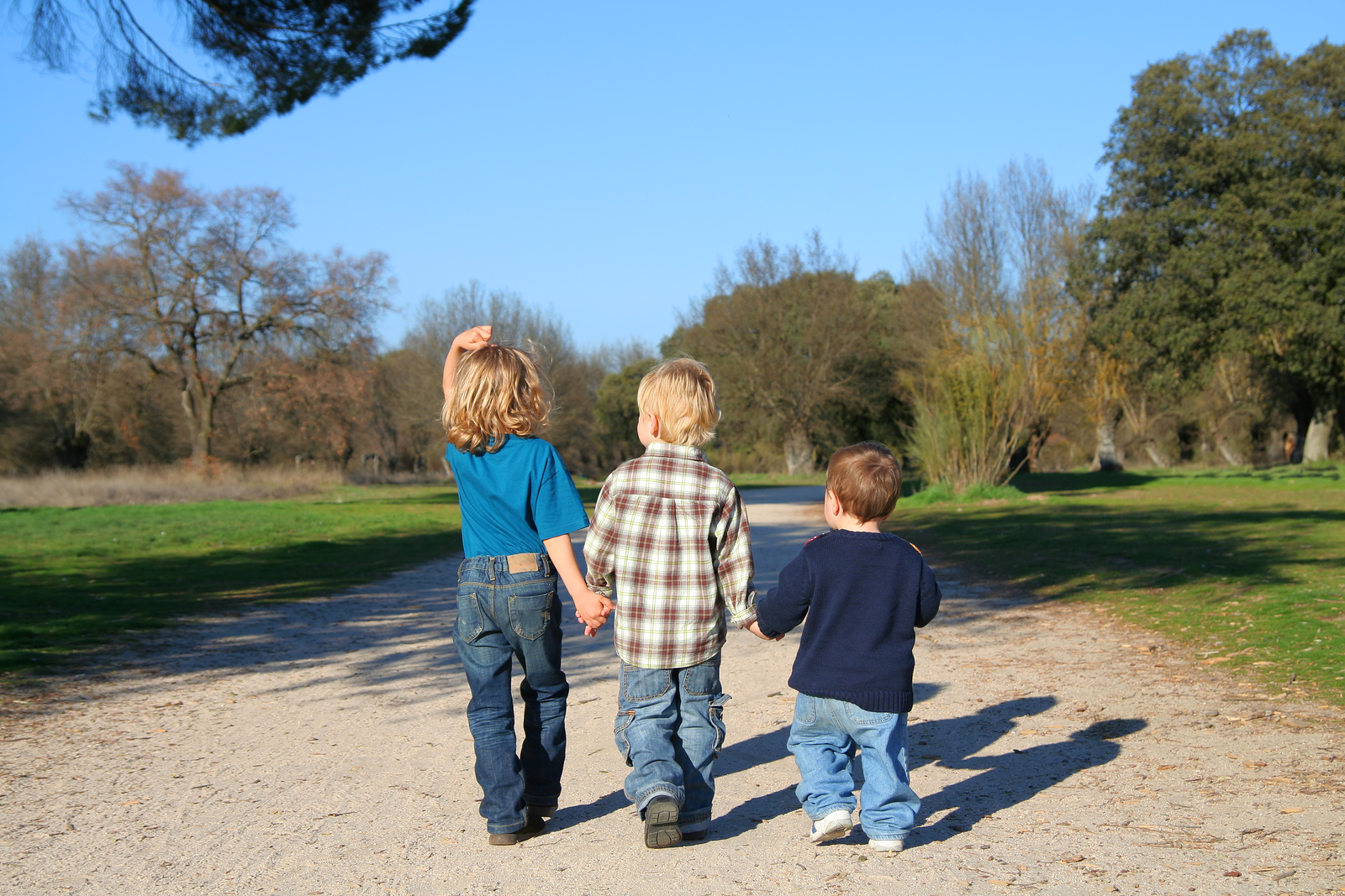 preschooler and toddlers walking on a path together
