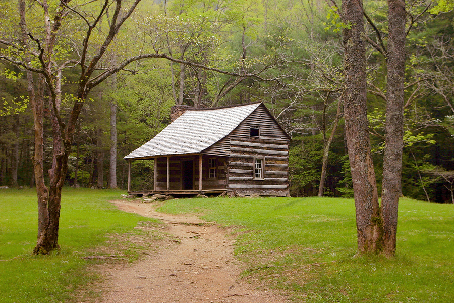 Little cabin in the woods
