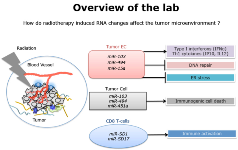 Overview of the lab.