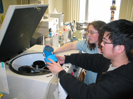 Centrifuge