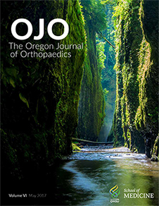 OJO Volume VI, 2017