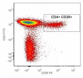 CD4CD25