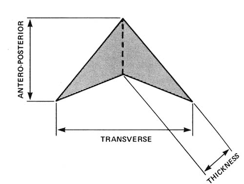 DRAD Pediatric Normal Measurements thymus