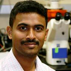 Thomas Jacob, Ph.D.
