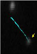 Vu Lab image 4