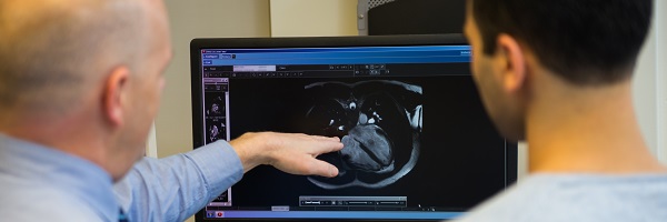 An 博彩网站 cardiac specialist points to an image on a computer screen in an exam room