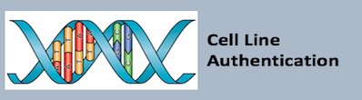 Cell Line Authentication