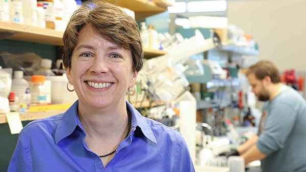 Beth A. Habecker, Ph.D.