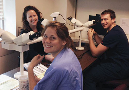 Pathology trainees with professor at multi-headed scope station