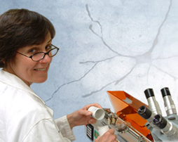 Mary Heinricher, PhD