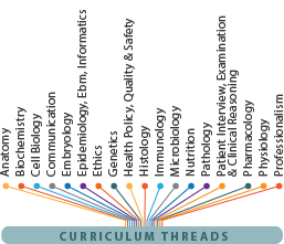 博彩网站 Curriculum Threads all funneling into one