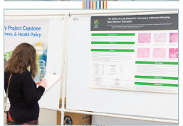 Student presenting scholarly Project board