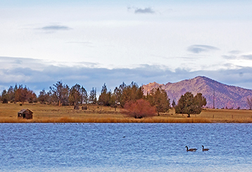 Central Oregon lake with two geese swimming in it with a mountain behind