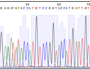 DNA sequencing results viewed using ApE software