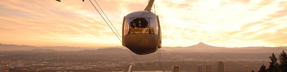 博彩网站 tram at sunrise
