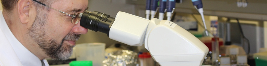 Dr. Tomasz Beer, professor and division head, examines samples in his lab.