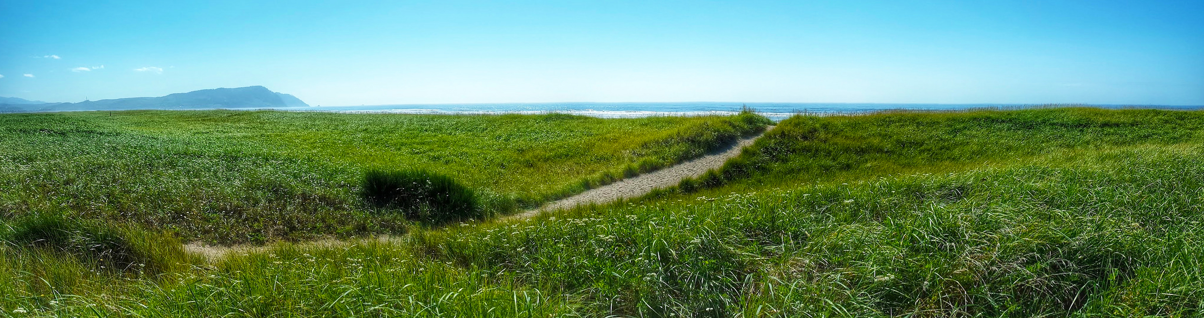 Oregon Coast