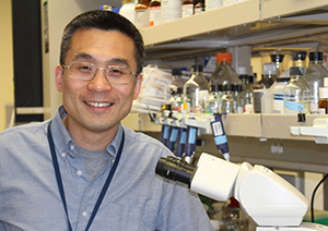 Dr. David Zheng Qian, Assistant Professor and Principal Investigator at the 博彩网站 Knight Cancer Institute