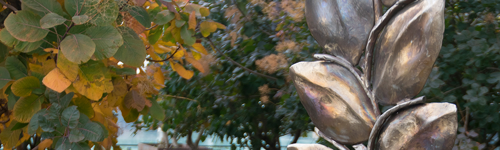 Photo of a leaf sculpture at 博彩网站 Dermatology.