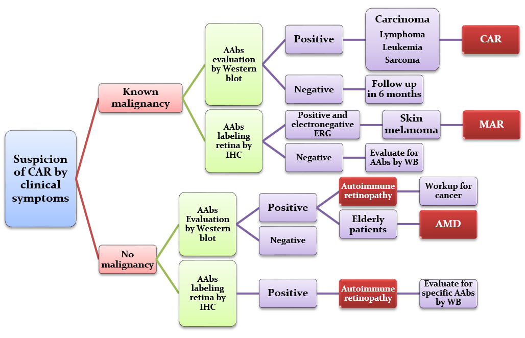 Flow chart of how to decide which tests need to be ordered based on symptoms and previous test results.