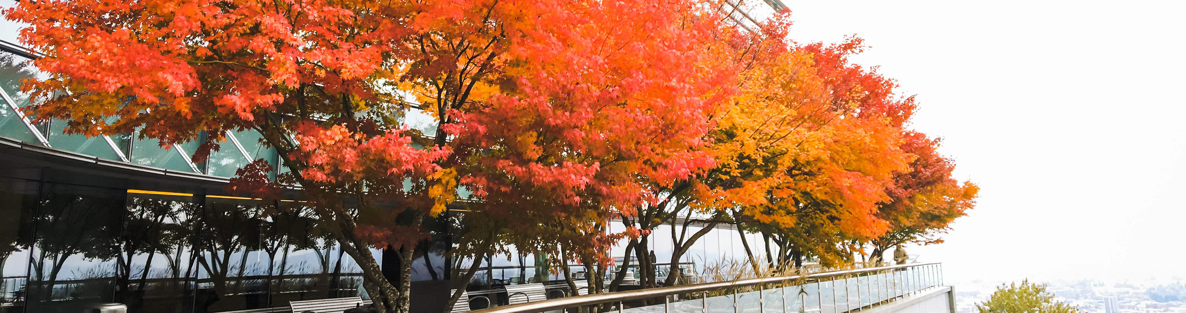Kohler Pavilion surrounded by Fall Foliage