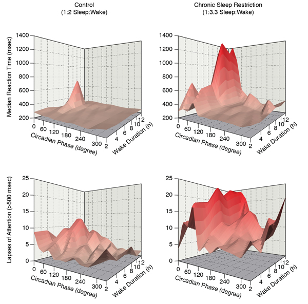 Interaction of circadian phase, hours of wakefulness, and psychomotor vigilance task (PVT) performance.
