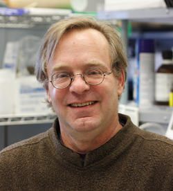 Philip Stork, MD