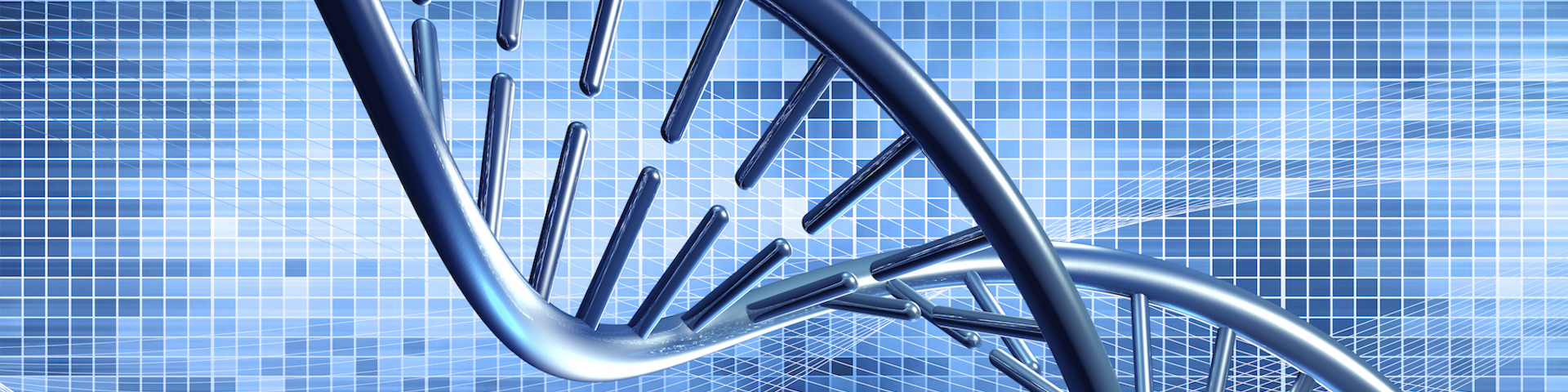 DNA separation rendering