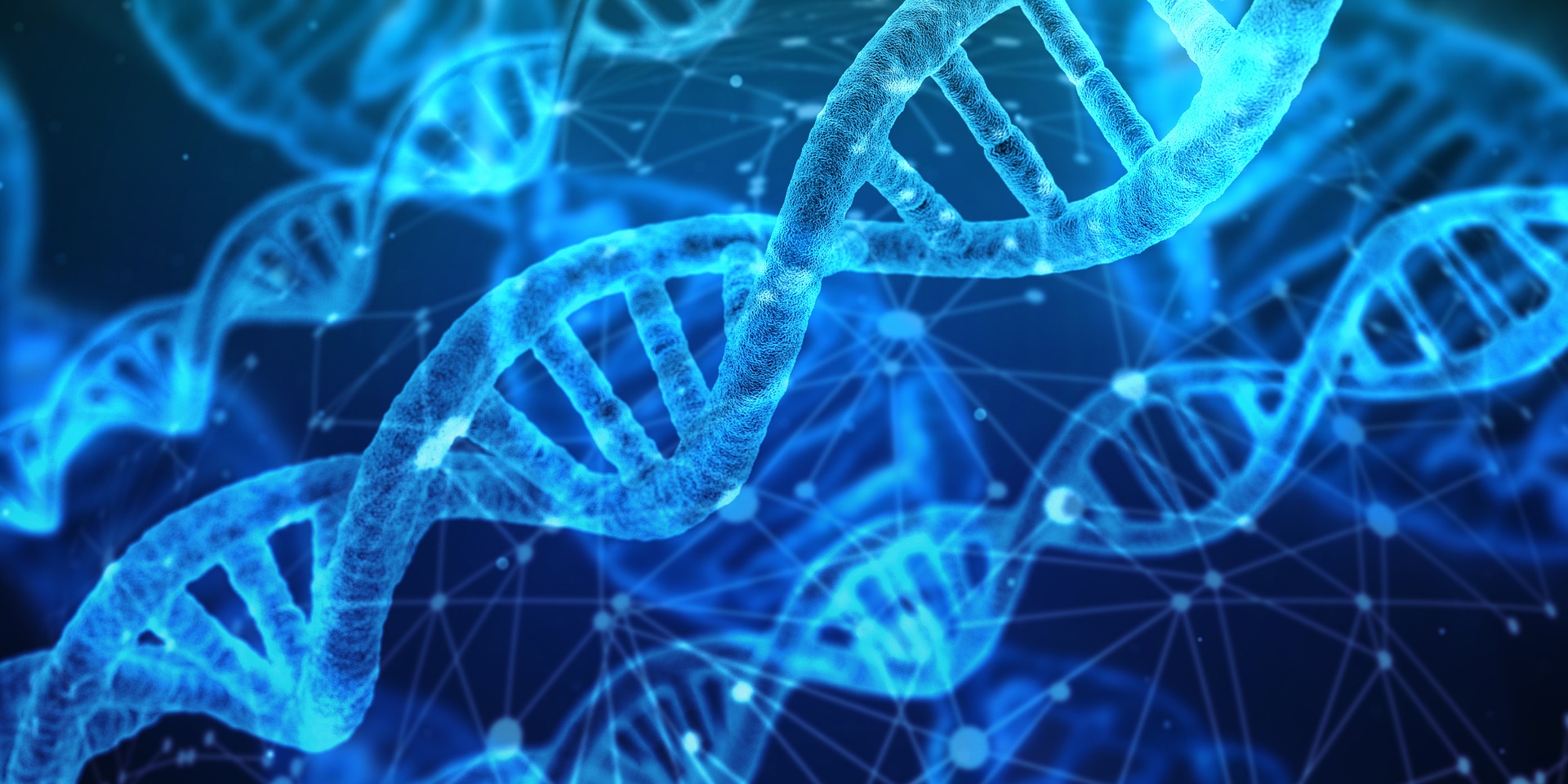 Stained Images of DNA strands