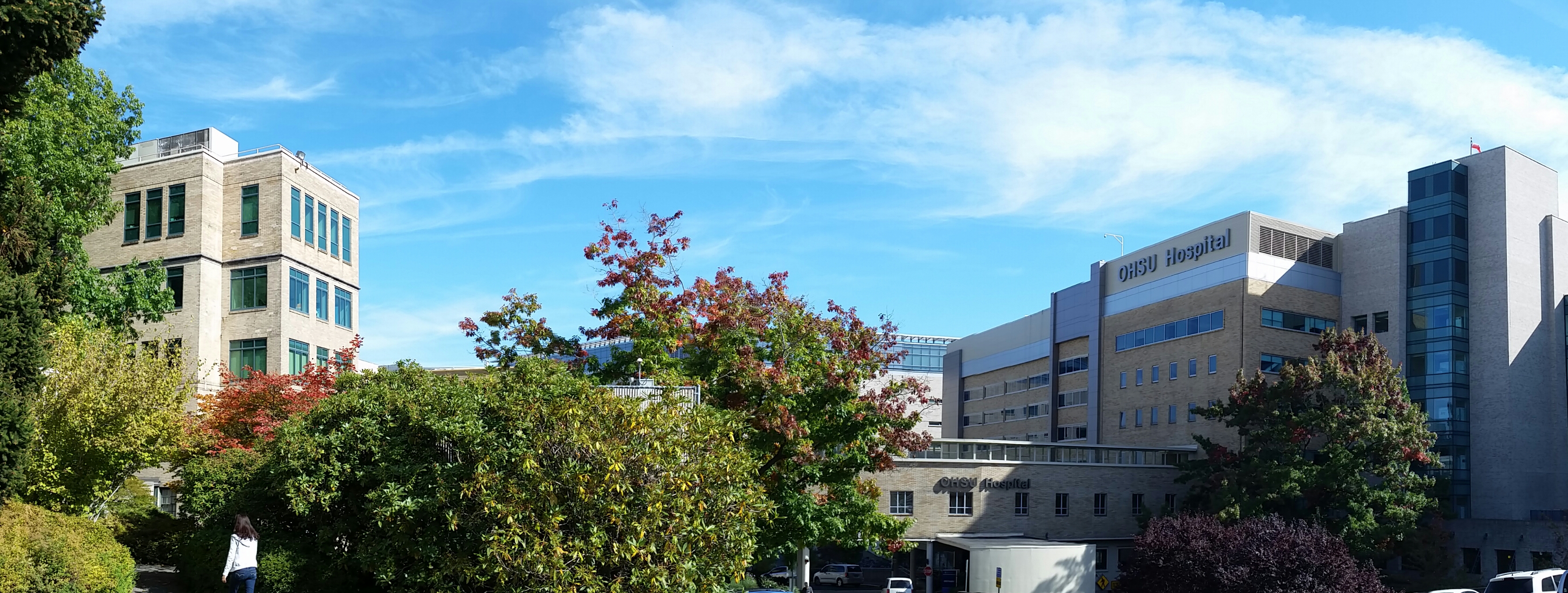 博彩网站 during Fall
