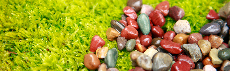 A zen garden of rocks