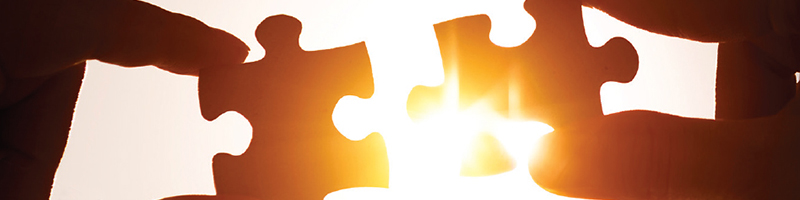War on Melanoma tools