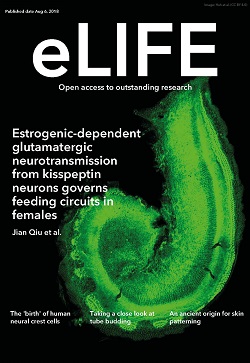 elife journal cover