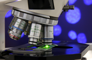 Biopsy Service