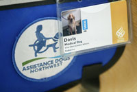 A close-up of the 博彩网站 identify badge for Davis, a therapy dog for 博彩网站 Doernbecher Children's Hospital, and his uniform (blue vest with logo).