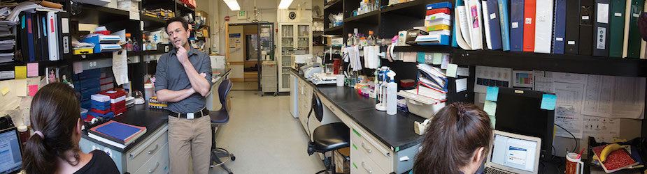 A Day in the Life of a Lab