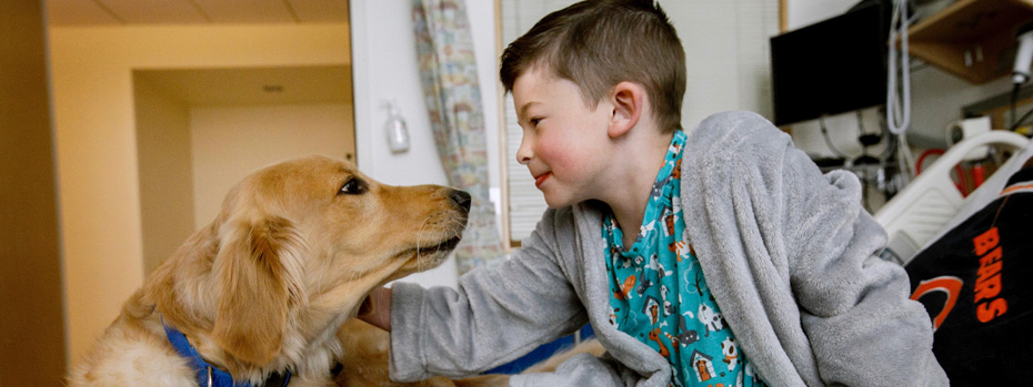Davis, an 博彩网站 Doernbecher Children's Hospital service dog, greeting a boy in a patient room.
