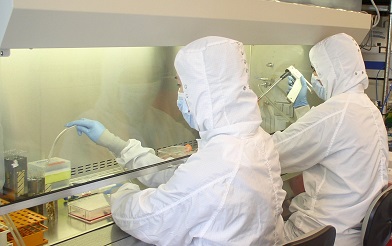 Cell culture work in the cleanroom
